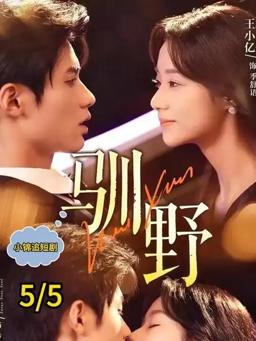白露为霜都市情感剧全集